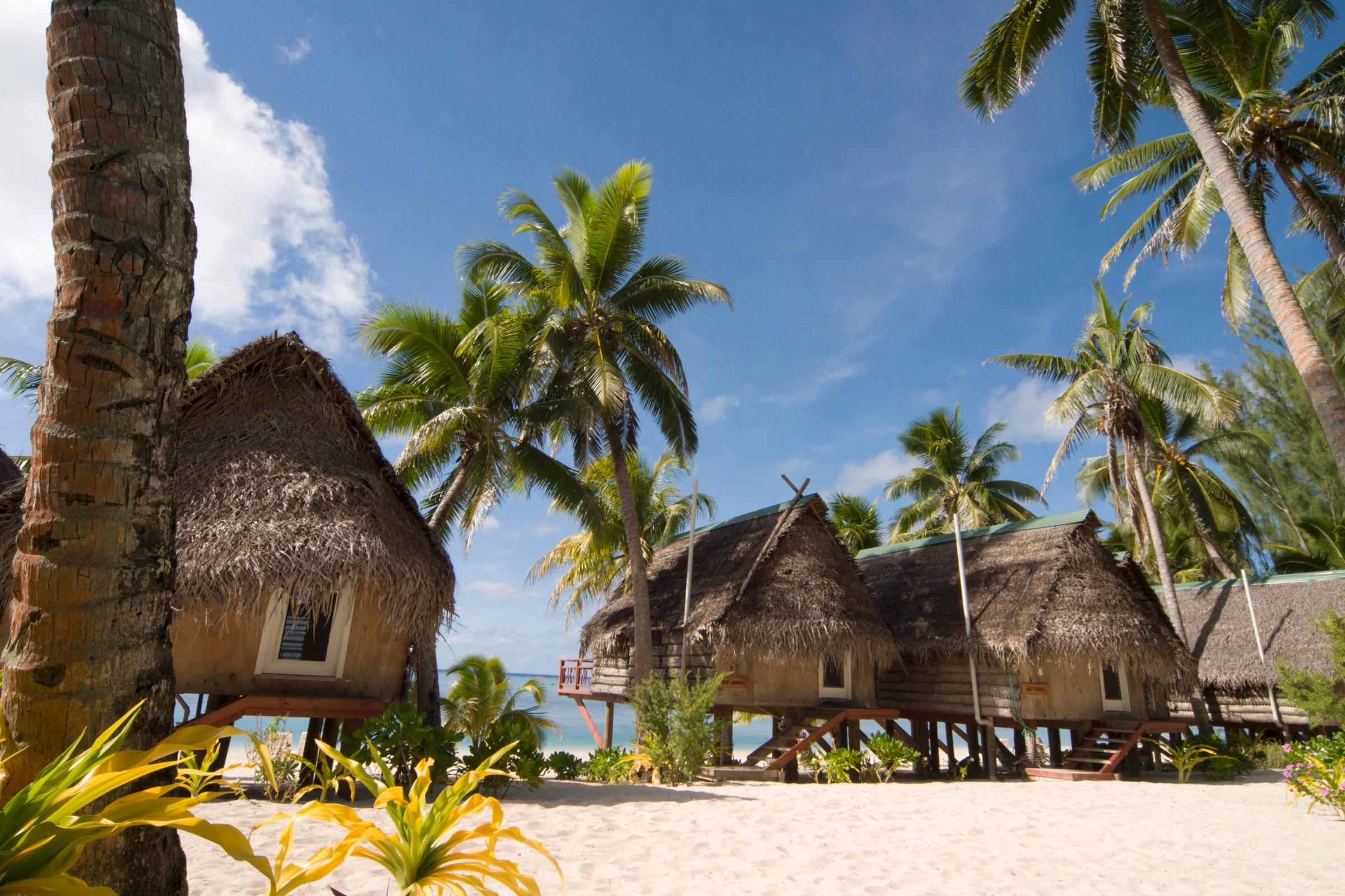 Cook_Island[1].webp